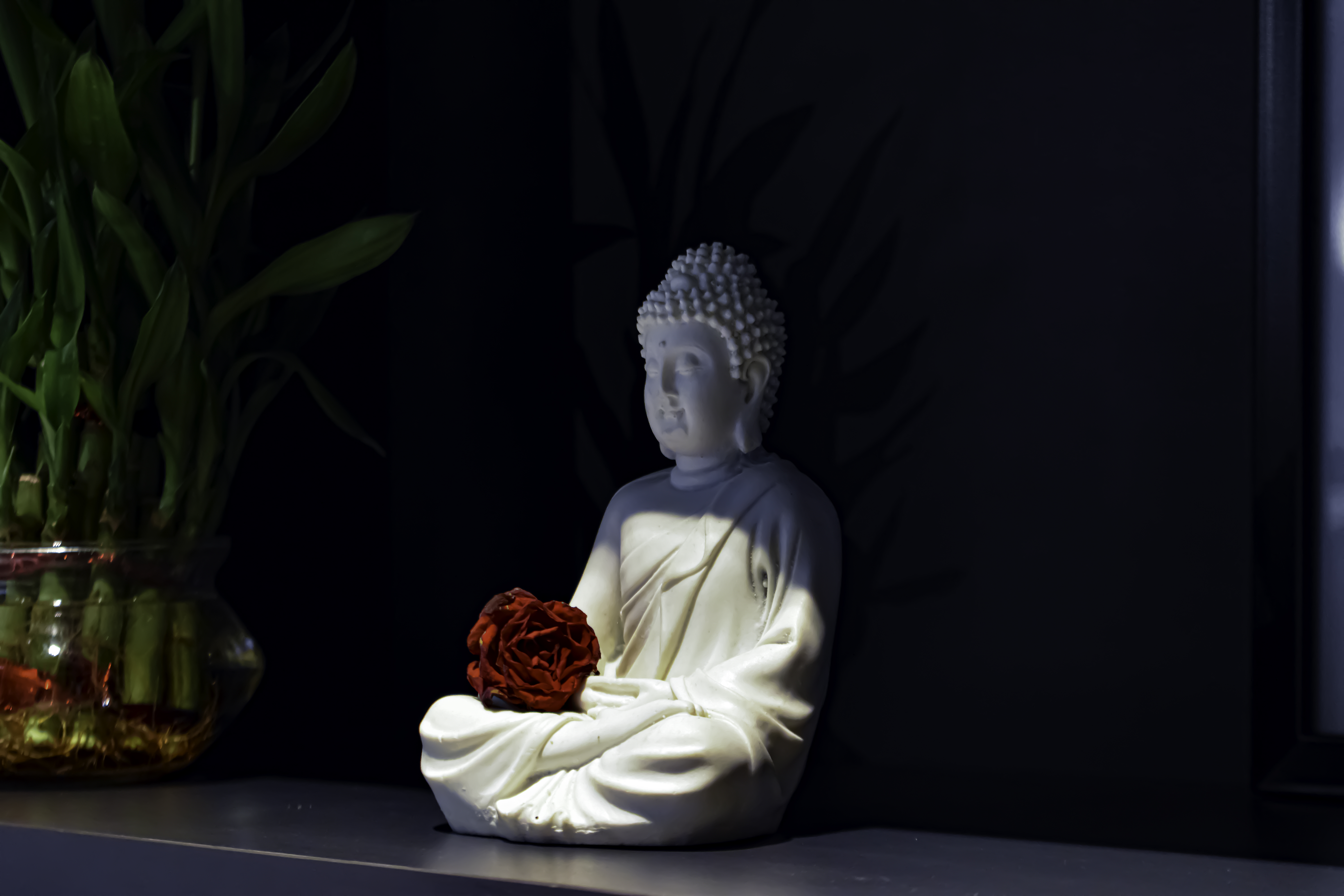 Portfolio Image 7
